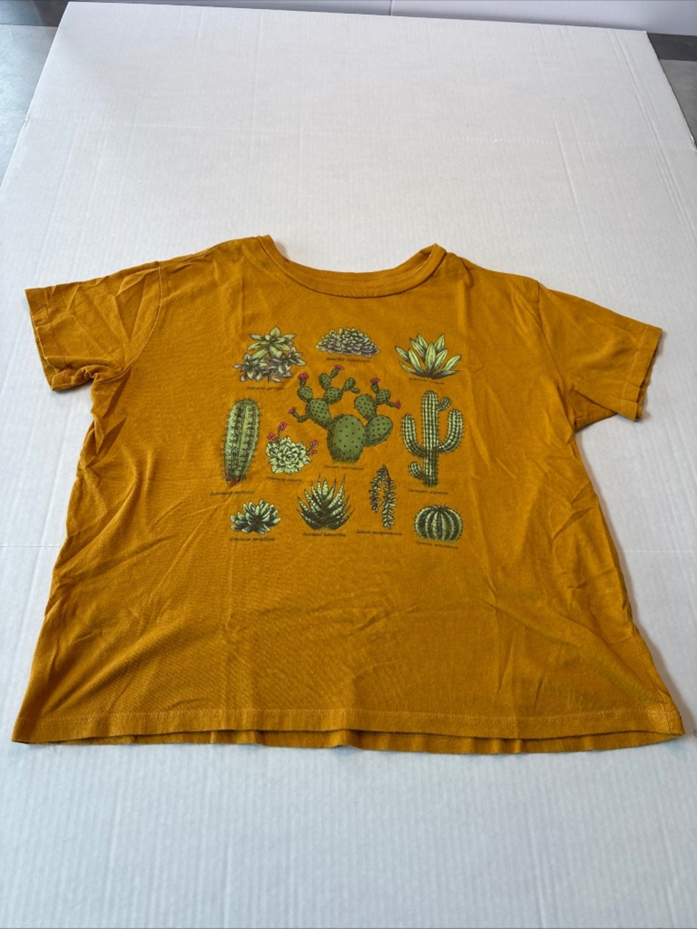 Fifth Sun Mustard Gold Graphic Tee Southwest Desert Cactus Jrs Sz L